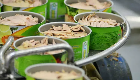 خرید و قیمت انواع تن ماهی در روغن آفتابگردان